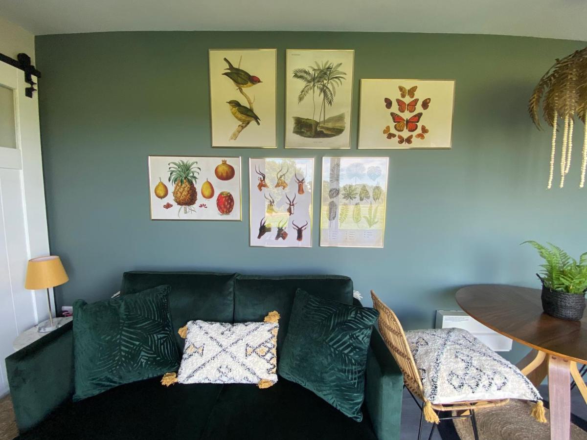 Hazy Hollow Apartamento